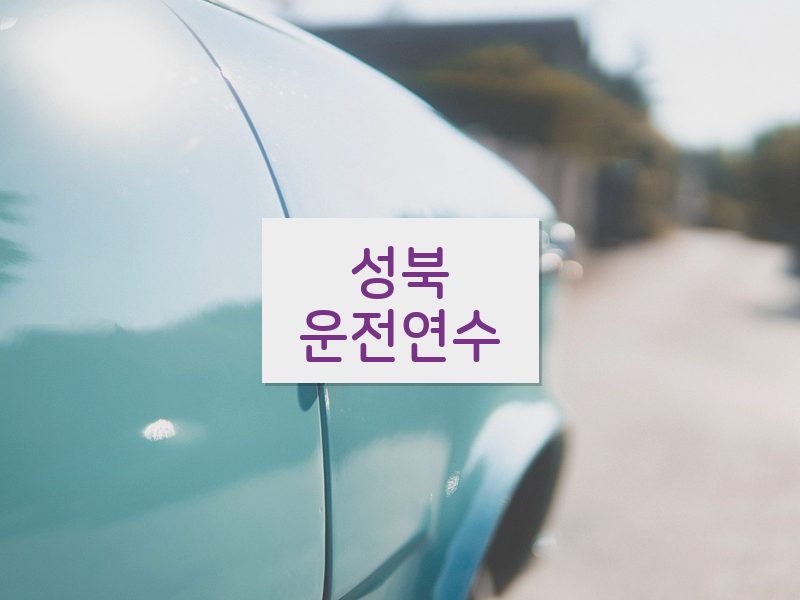 성북운전연수 후기