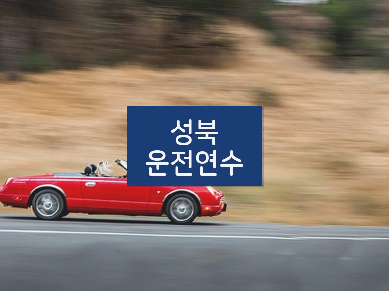 성북운전연수 후기