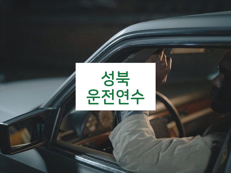 성북운전연수 후기