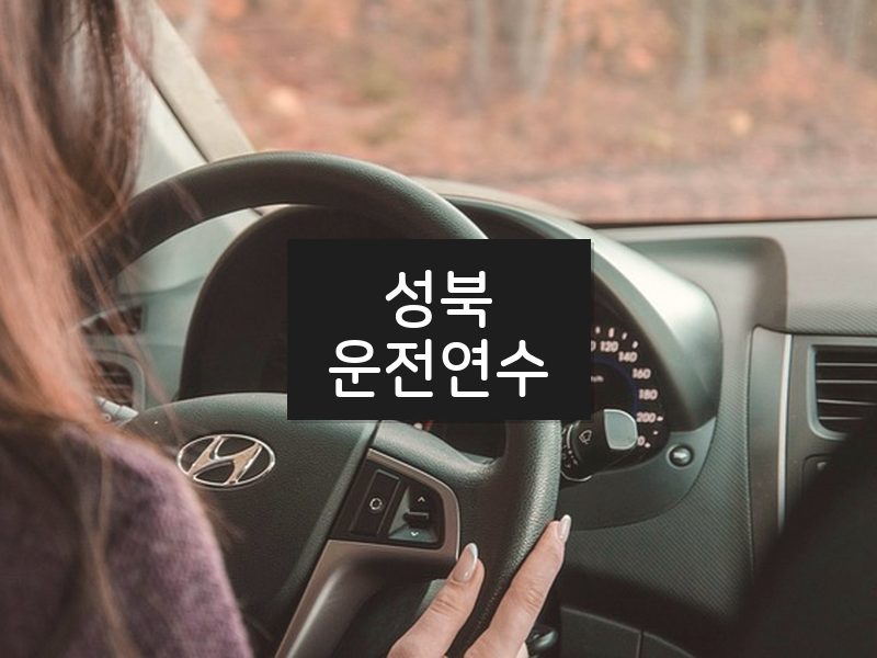 성북운전연수 후기