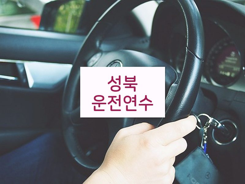 성북운전연수 후기