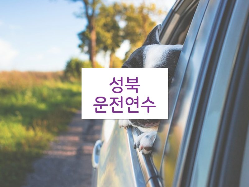 성북운전연수 후기