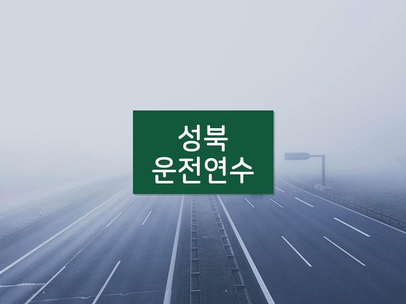 성북운전연수 후기