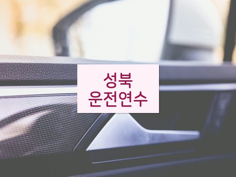 성북운전연수 후기
