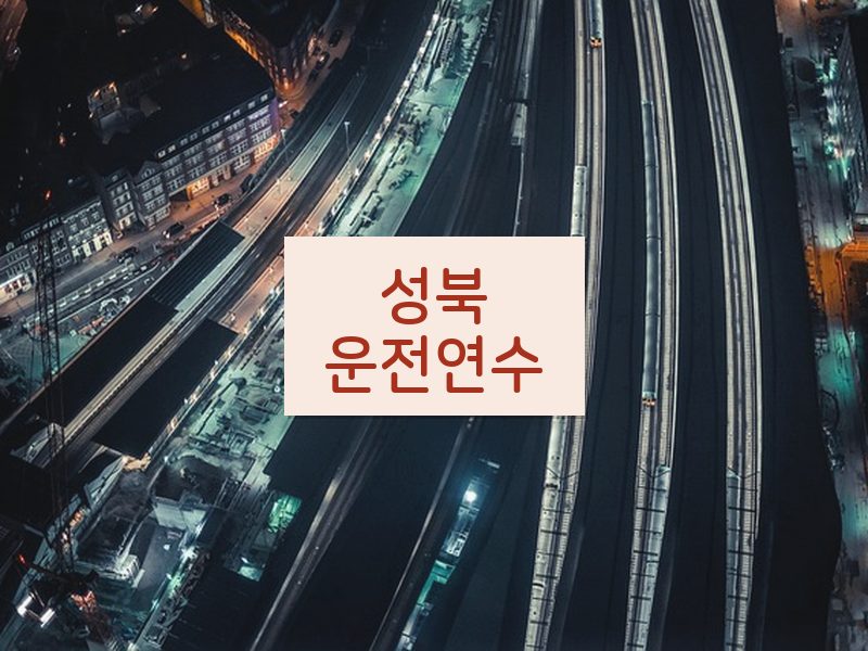성북운전연수 후기