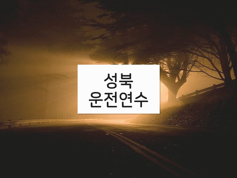 성북운전연수 후기