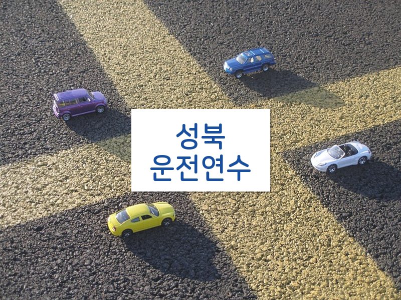 성북운전연수 후기