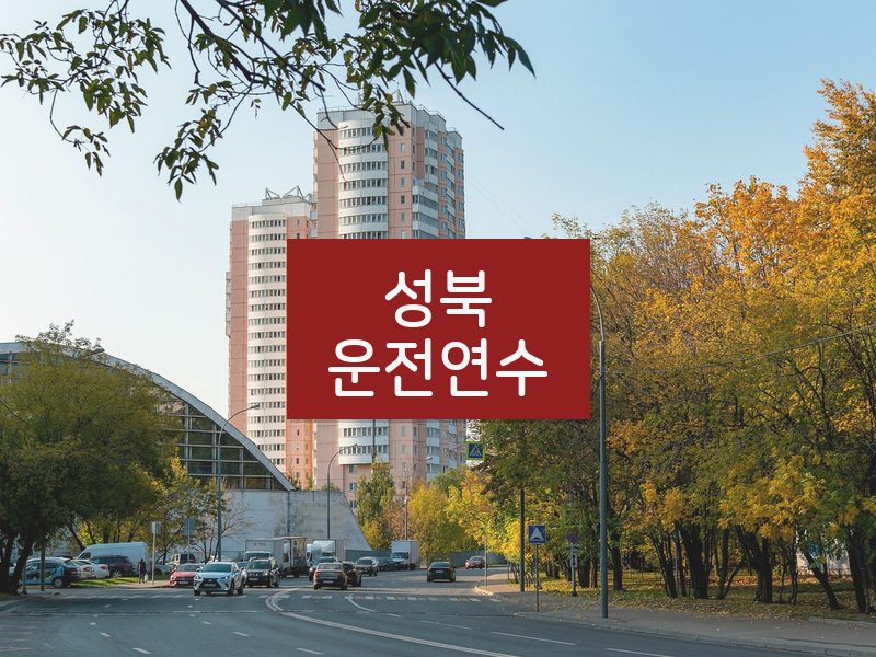 성북운전연수 후기
