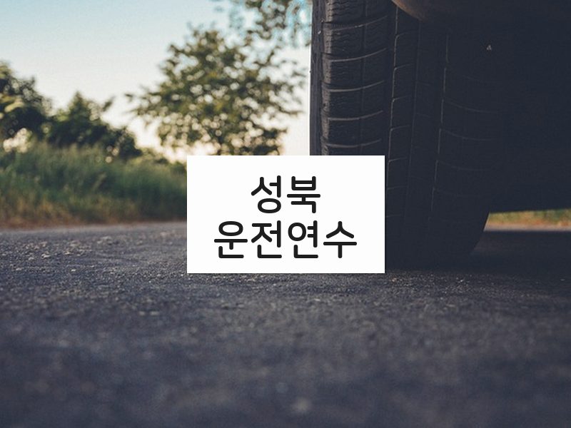 성북운전연수 후기