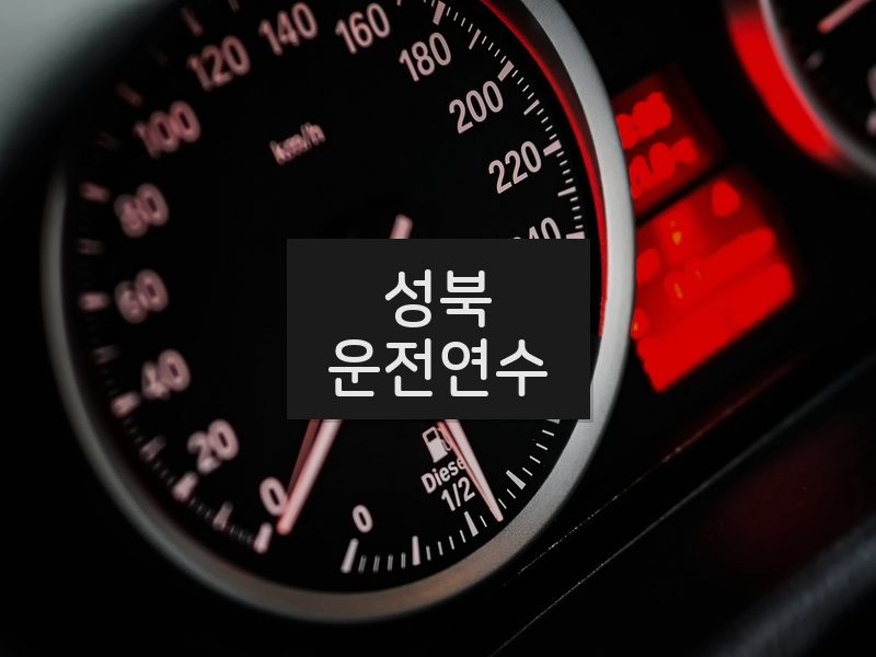 성북운전연수 후기