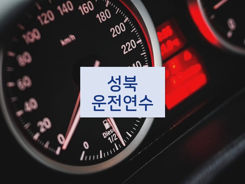 성북운전연수 후기