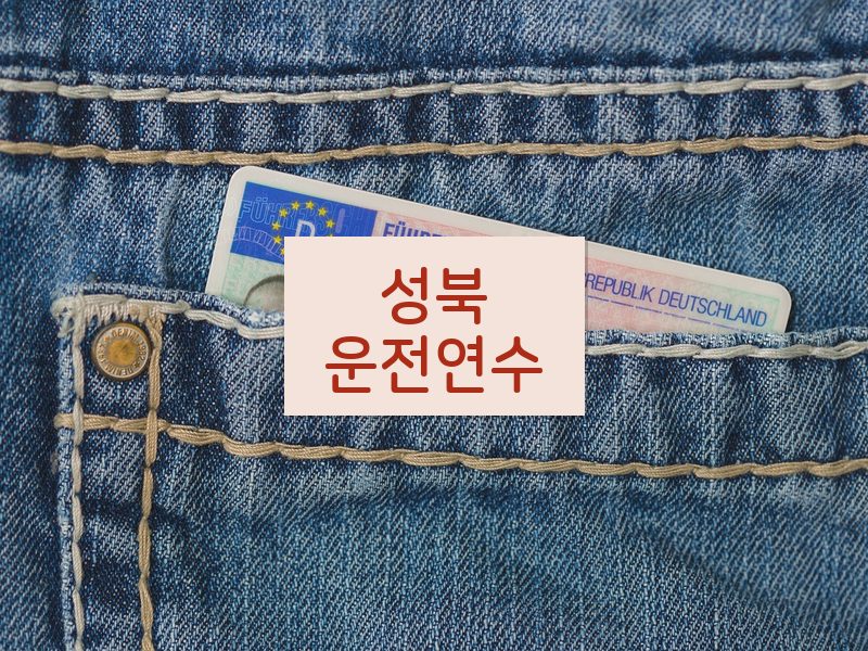 성북운전연수 후기