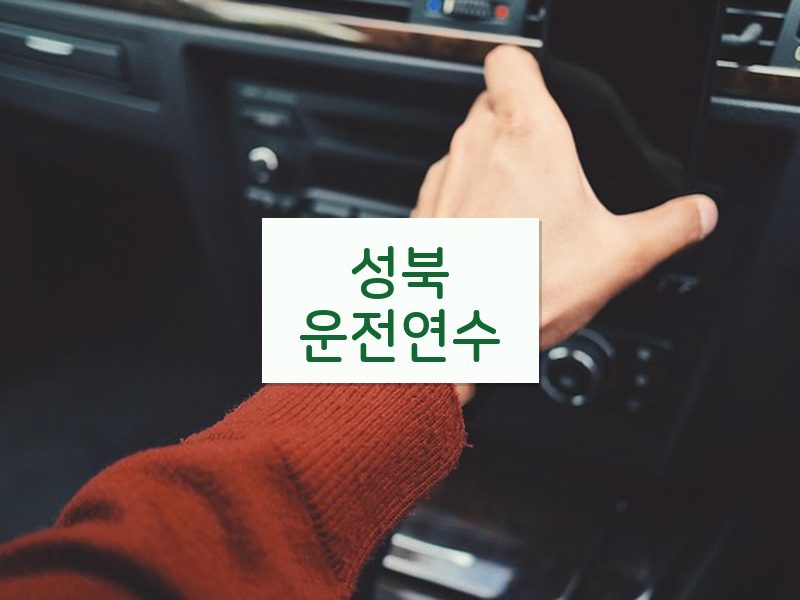 성북운전연수 후기