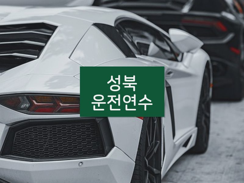 성북운전연수 후기