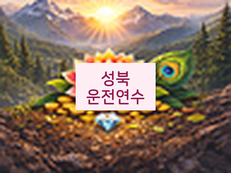 성북운전연수 후기