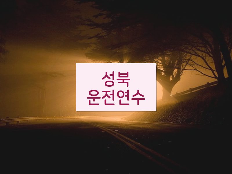 성북운전연수 후기