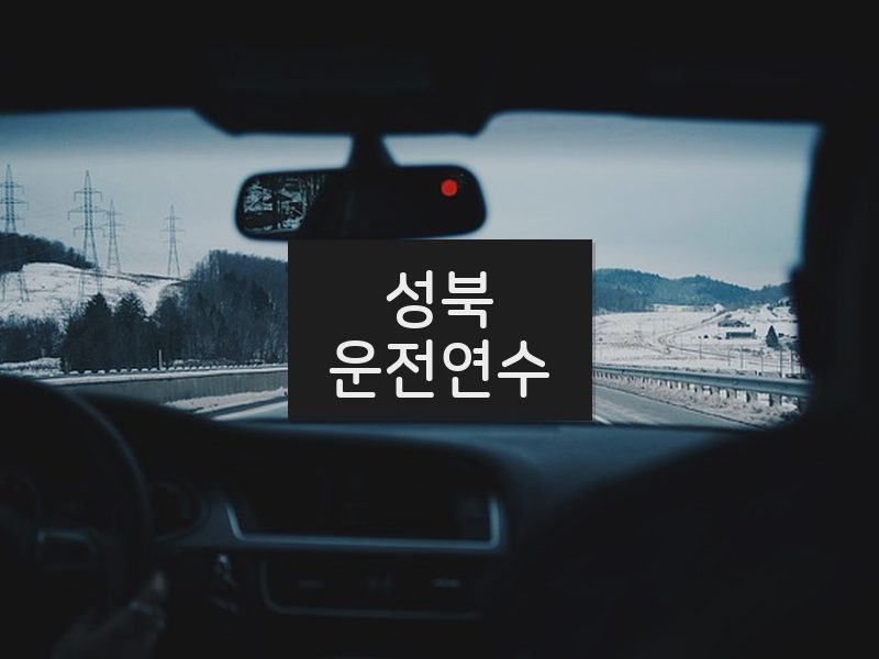 성북운전연수 후기