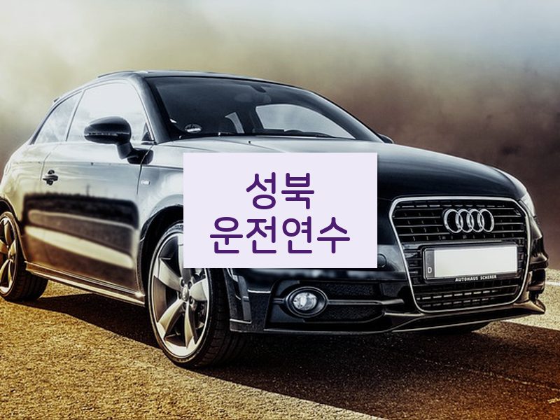 성북운전연수 후기