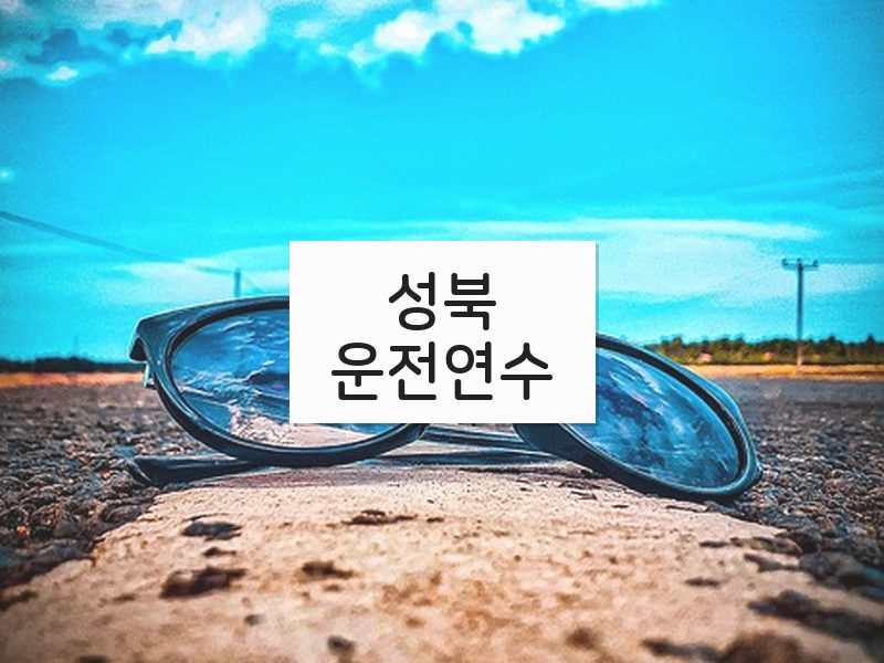 성북운전연수 후기