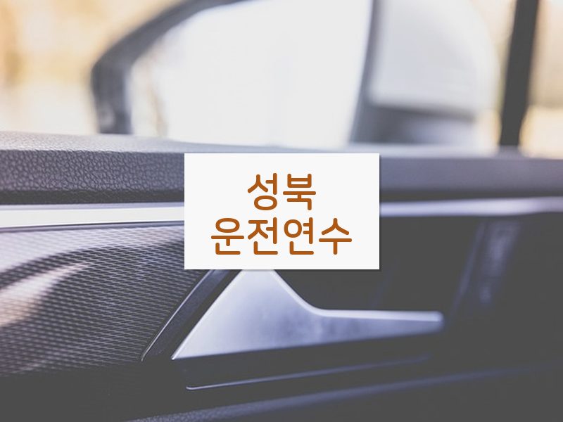 성북운전연수 후기