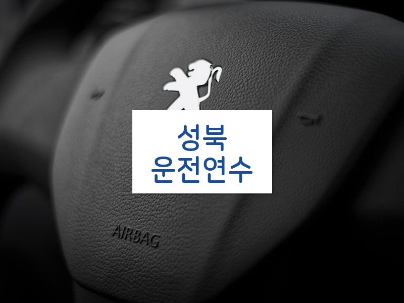 성북운전연수 후기