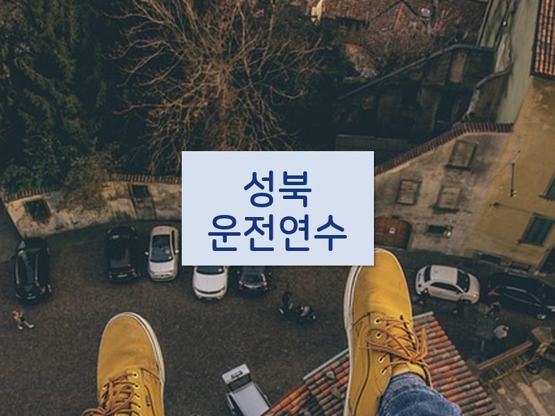성북운전연수 후기