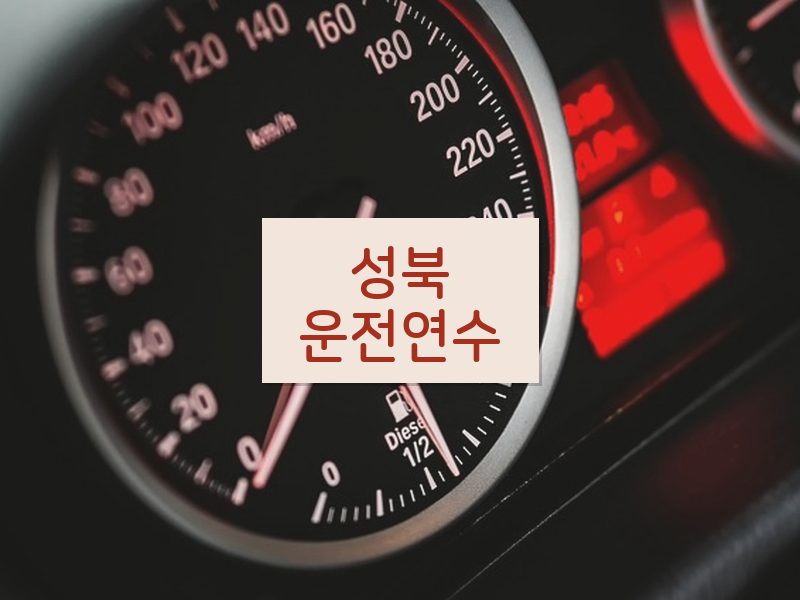 성북운전연수 후기