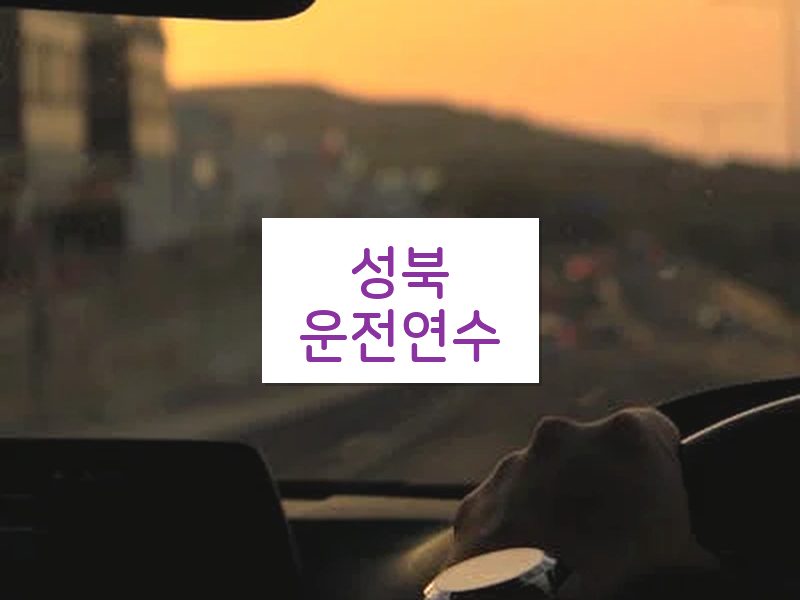 성북운전연수 후기