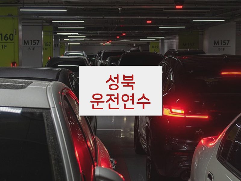 성북운전연수 후기