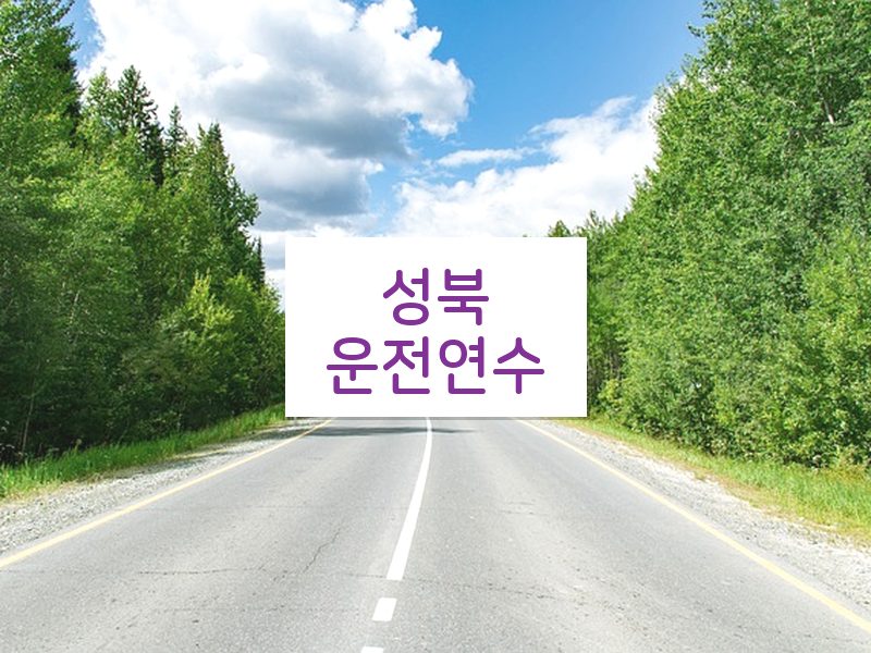 성북운전연수 후기