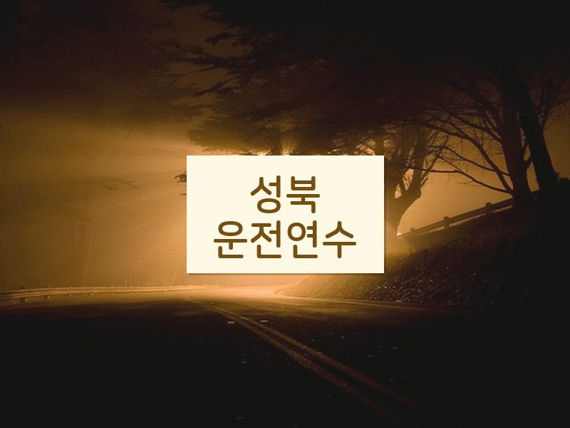 성북운전연수 후기