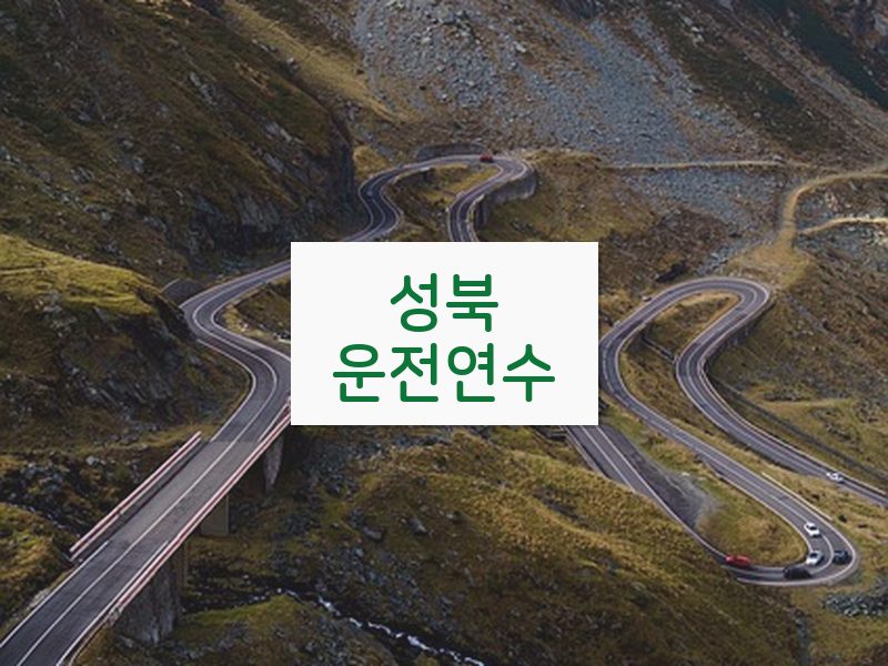 성북운전연수 후기