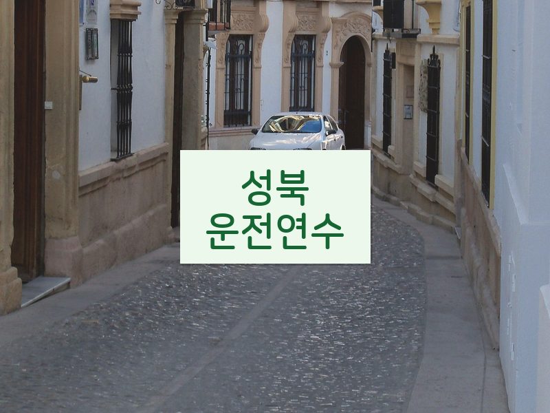 성북운전연수 후기