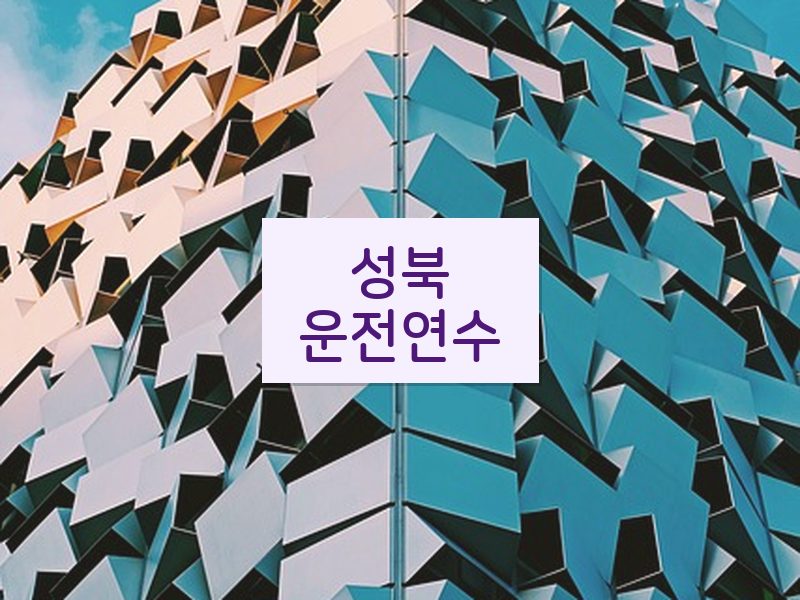성북운전연수 후기