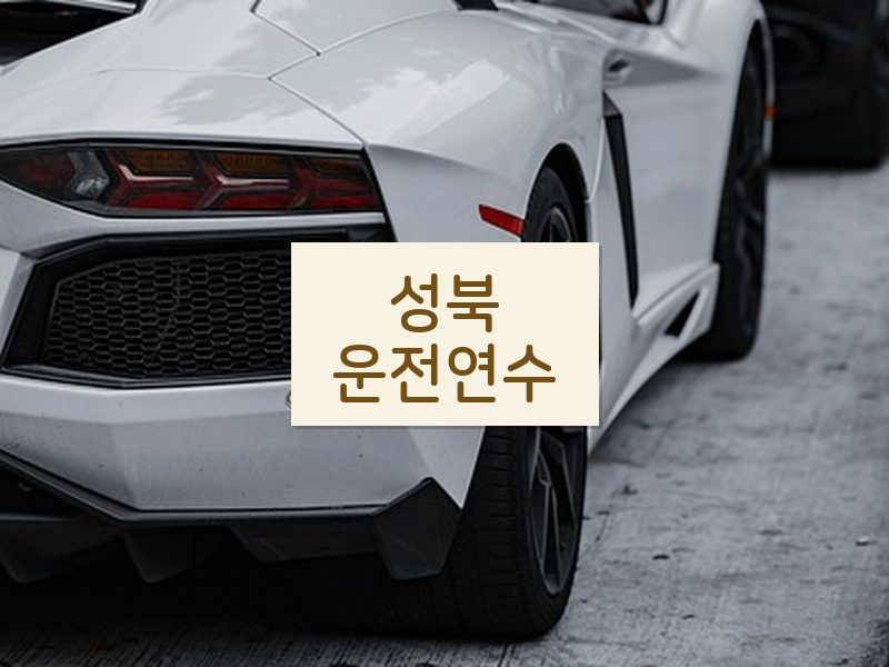 성북운전연수 후기