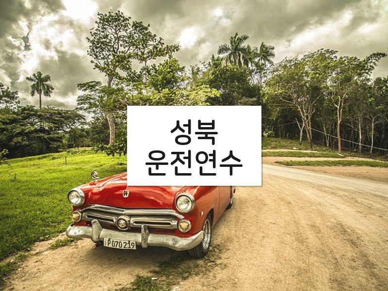 성북운전연수 후기