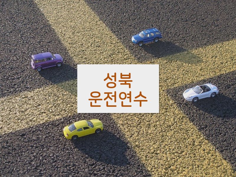 성북운전연수 후기
