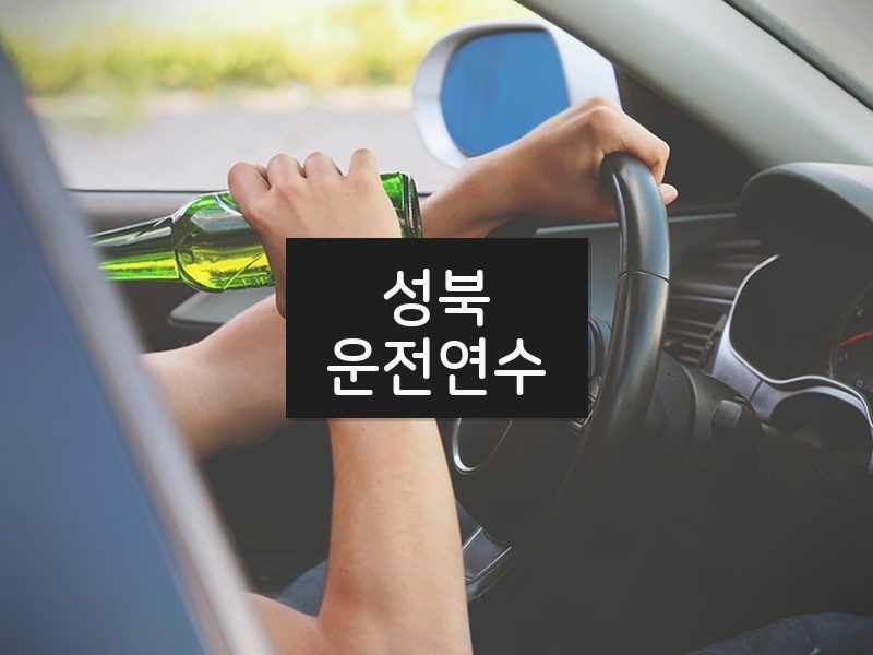 성북운전연수 후기