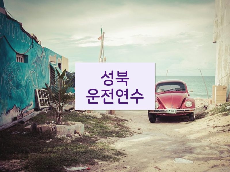 성북운전연수 후기