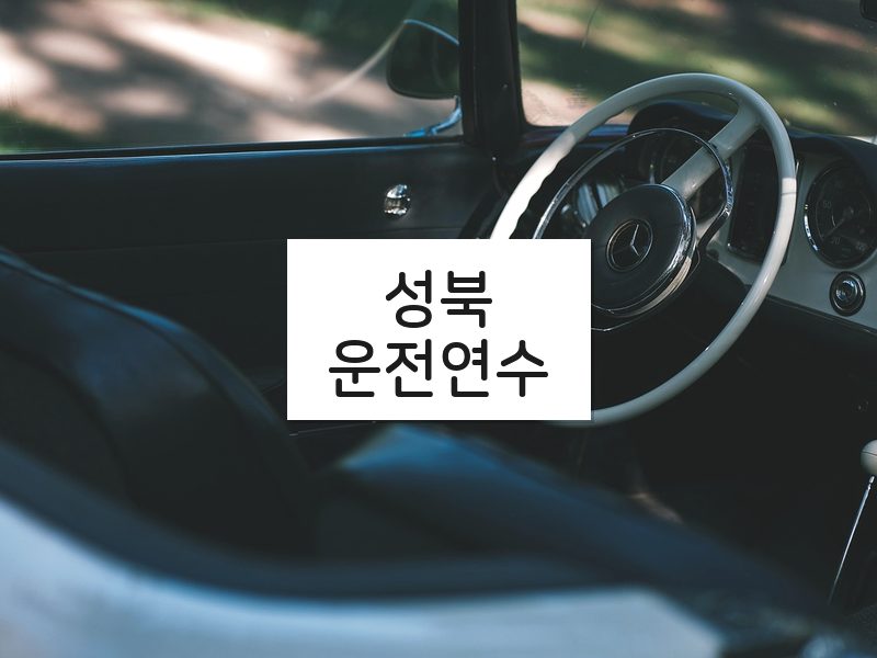 성북운전연수 후기