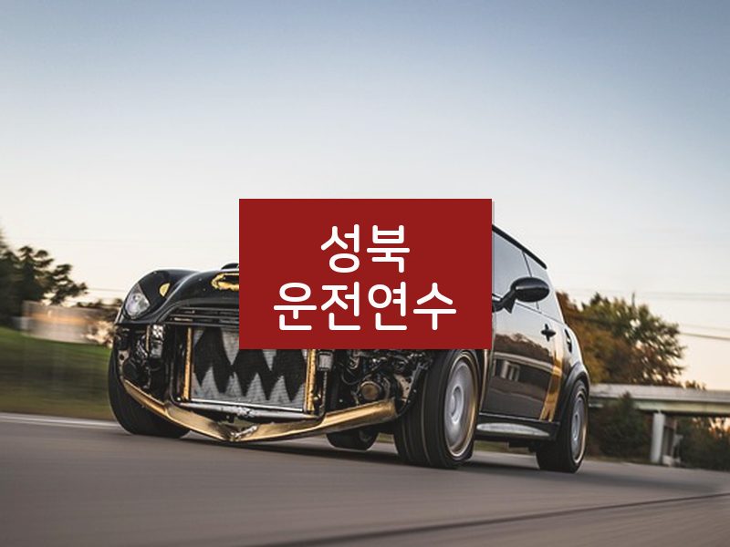 성북운전연수 후기