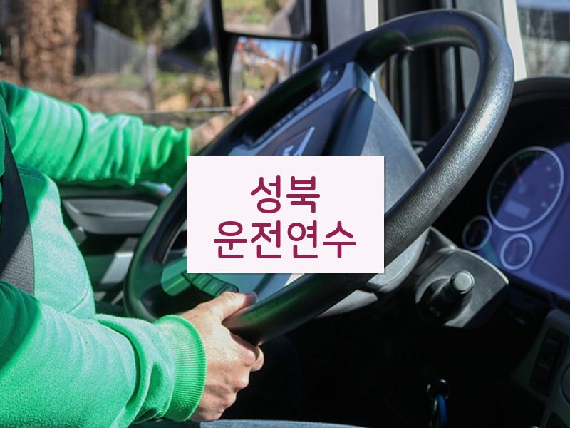 성북운전연수 후기