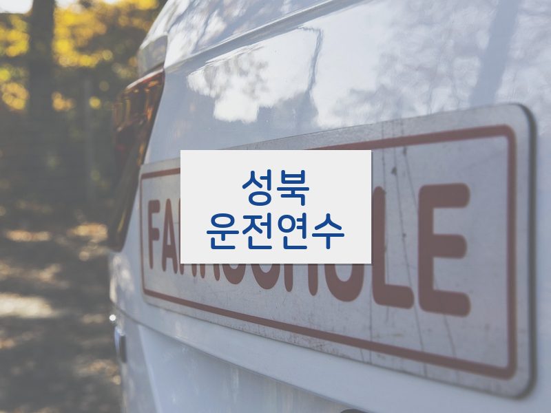 성북운전연수 후기