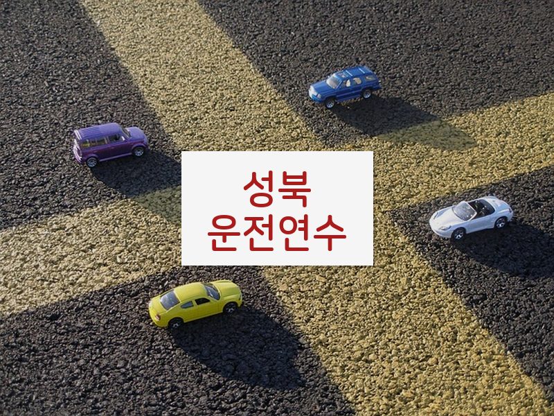 성북운전연수 후기