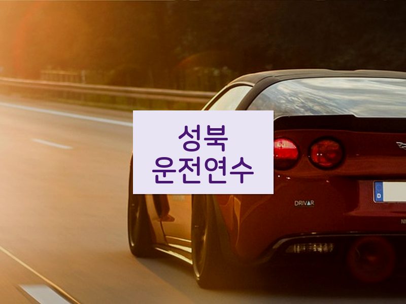 성북운전연수 후기