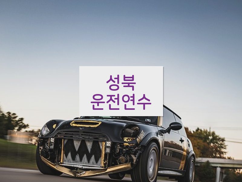 성북운전연수 후기