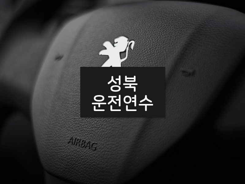 성북운전연수 후기