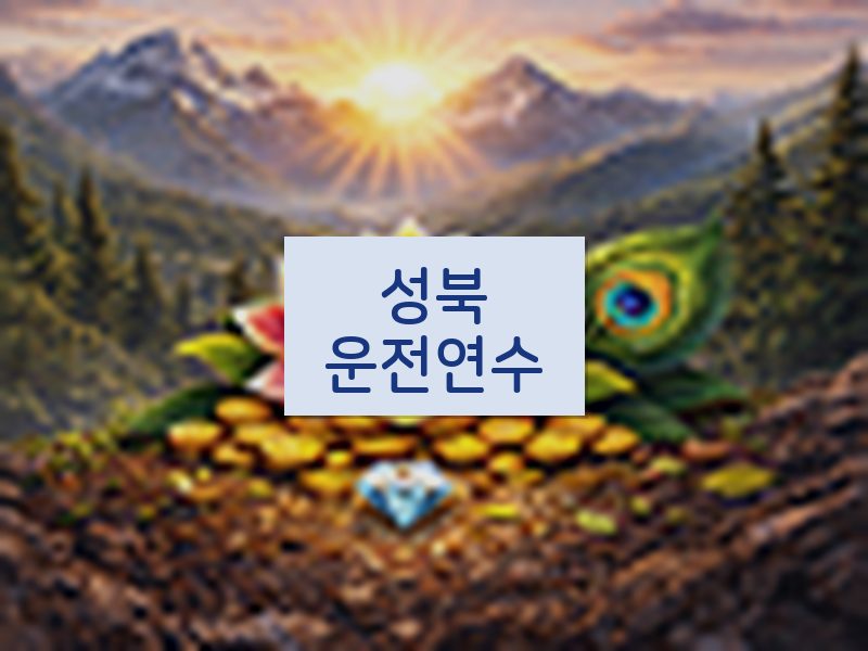 성북운전연수 후기