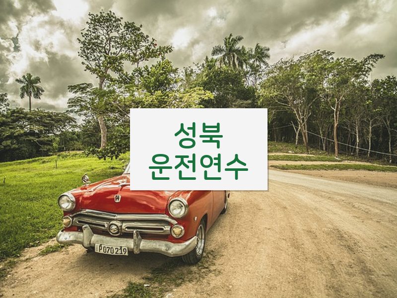 성북운전연수 후기