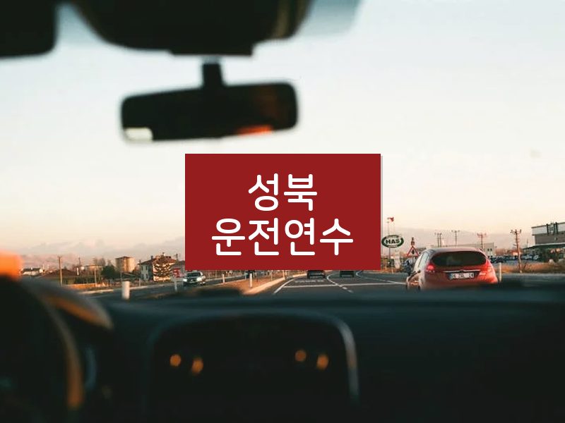 성북운전연수 후기